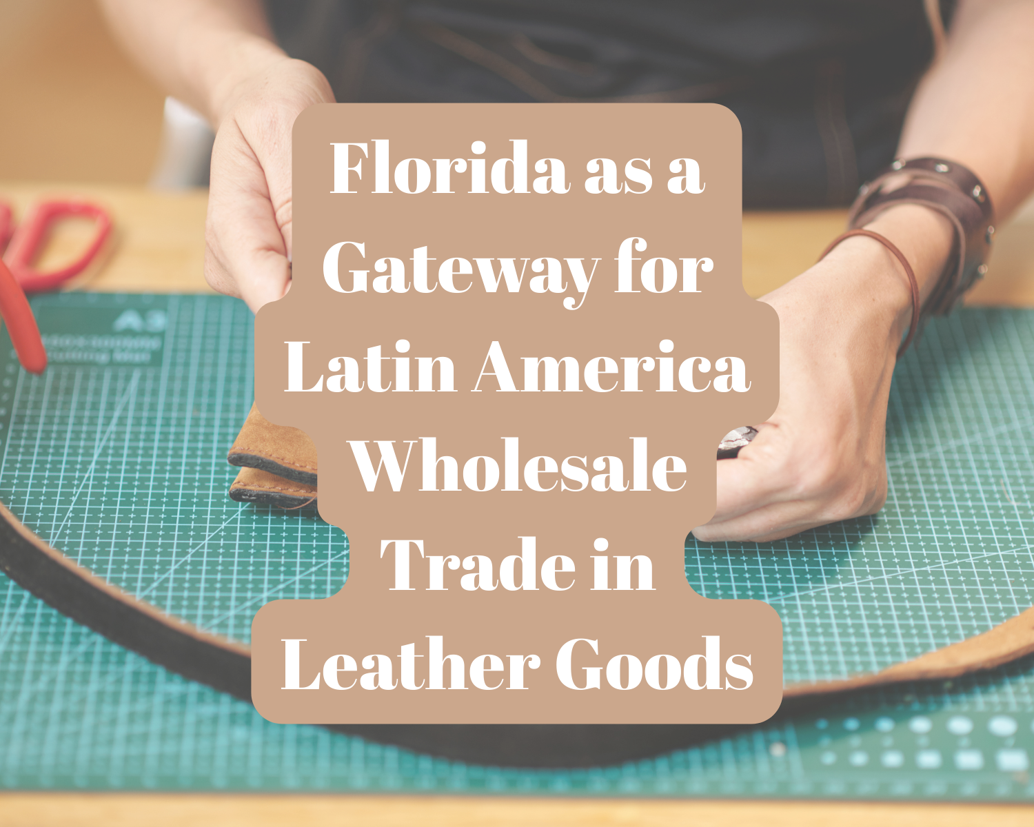 Florida as a Gateway for Latin America Wholesale Trade in Leather Goods 1 10
