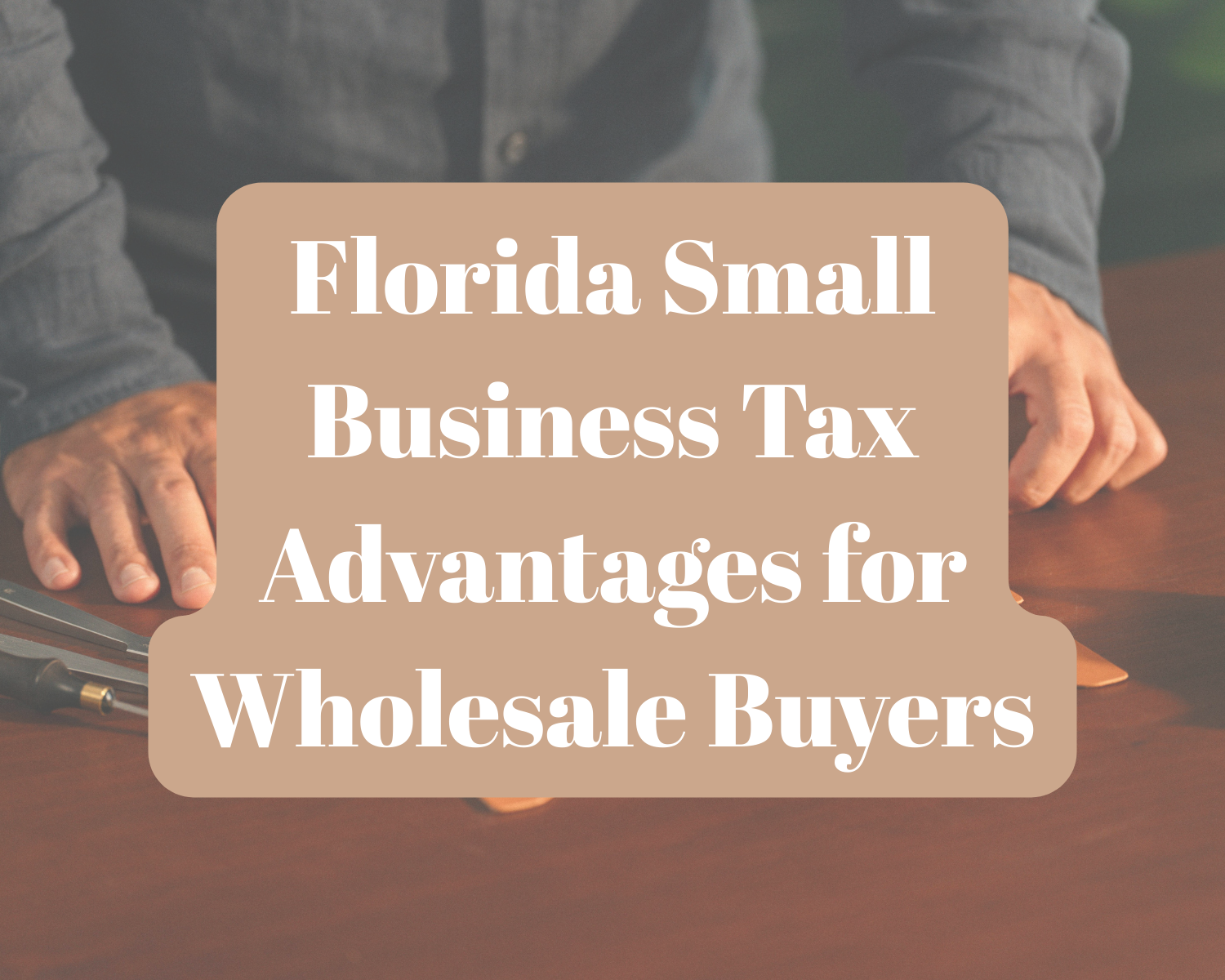 Florida Small Business Tax Advantages for Wholesale Buyers 1 13